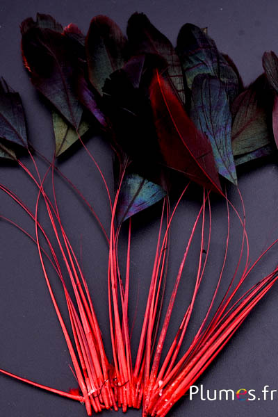 Coquetips - 12-17 cm - rouge-noir
